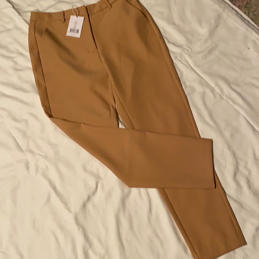 NWT Walter Baker Tan Jack Pants 2